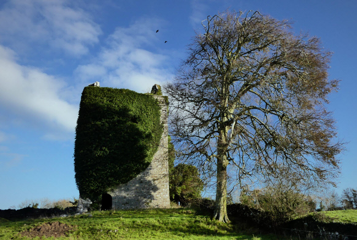 Garryvoe Castle, Ireland